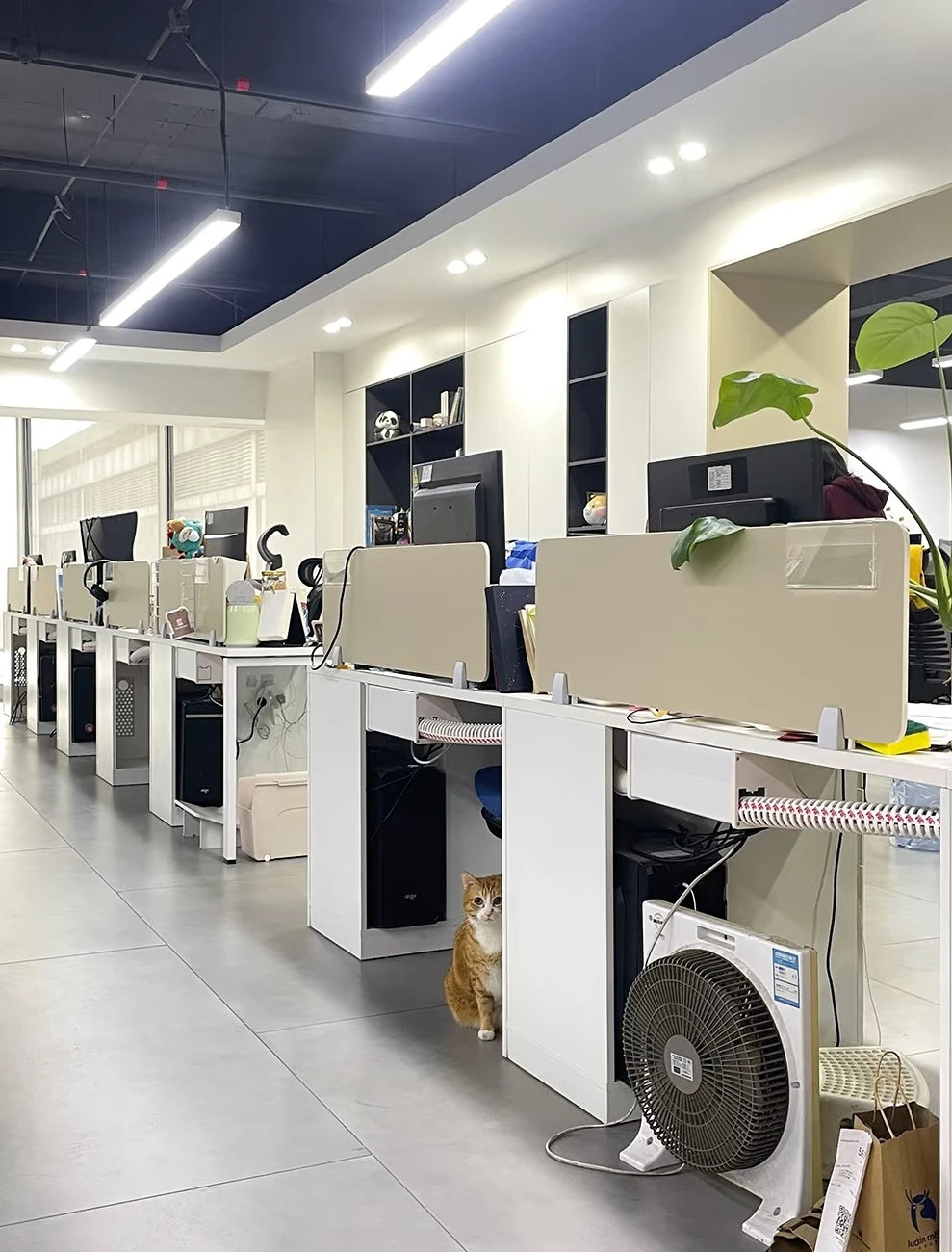 Pet Bed - Orthopedic Sofa for Dogs & Cats