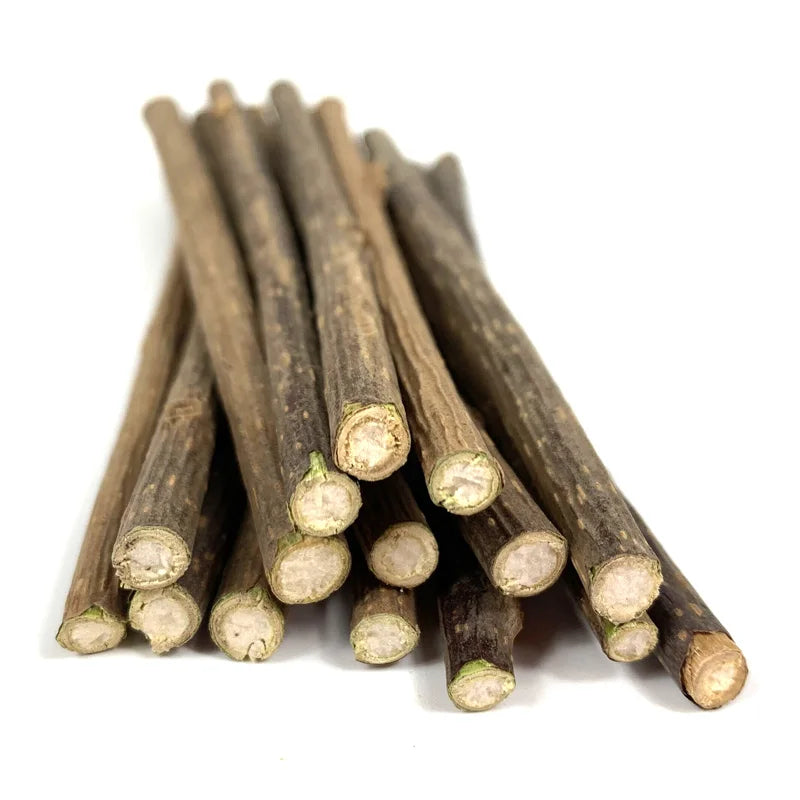Cat Snack Sticks - Natural Catnip Toy 100pcs