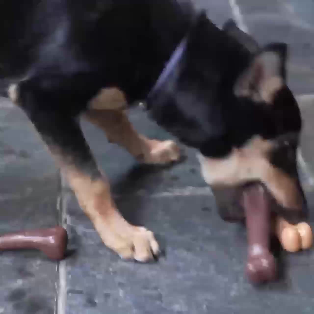 Beef-Flavored Dog Chew Toy - Durable Dental Bone