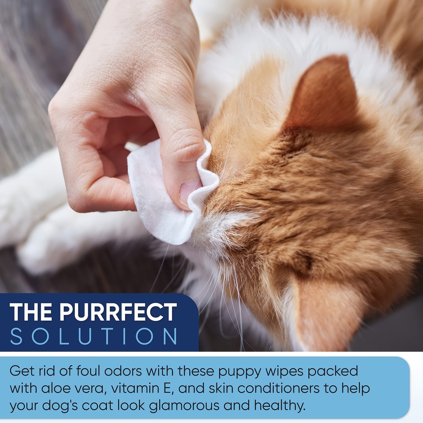 Pet Wipes 100pcs - Hypoallergenic Dog & Cat Wipes