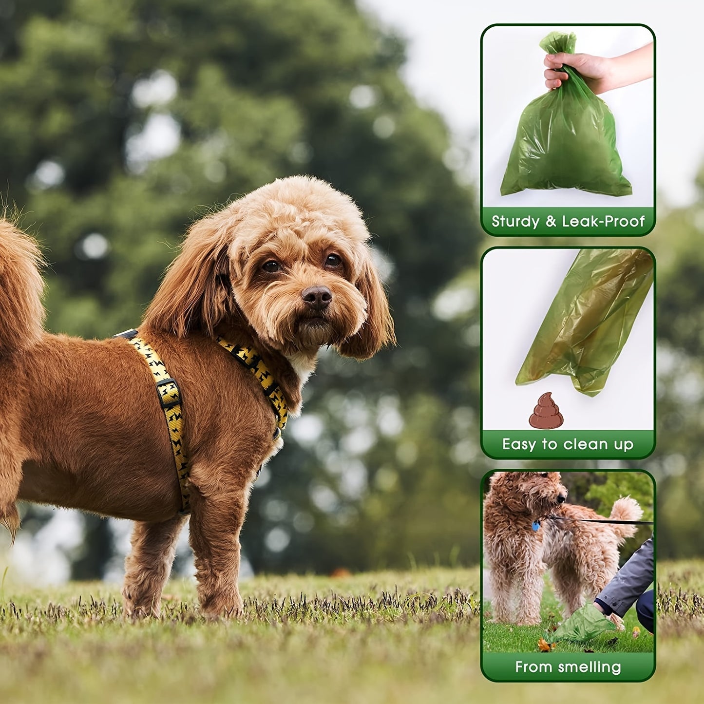 Dog walking on grass with images of green bags labeled 'Sturdy & Leak-Proof', 'Easy to clean up', and 'From smelling'.