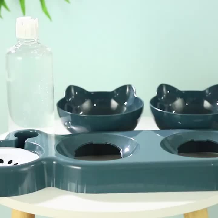 Anti-Slip Tilted Pet Bowl - Ergonomic Design