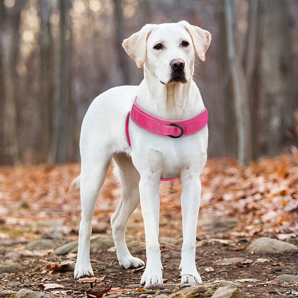 No Pull Dog Harness - Reflective Training Vest
