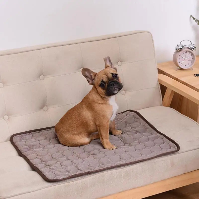 Dog Cooling Mat - Breathable Summer Pad for All Sizes