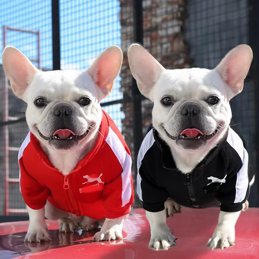 Dog Vest - Warm Alphabet Bear Design