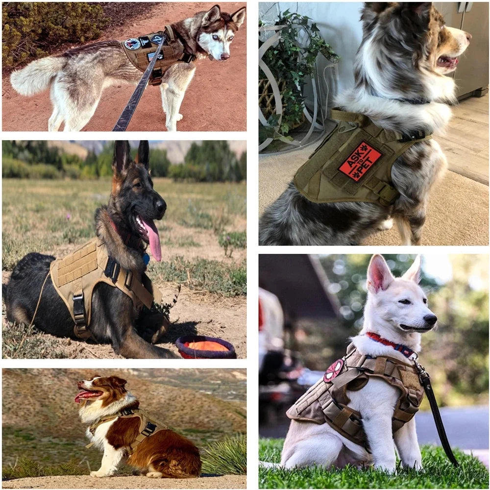 Tactical Dog Harness - Nylon Training Vest