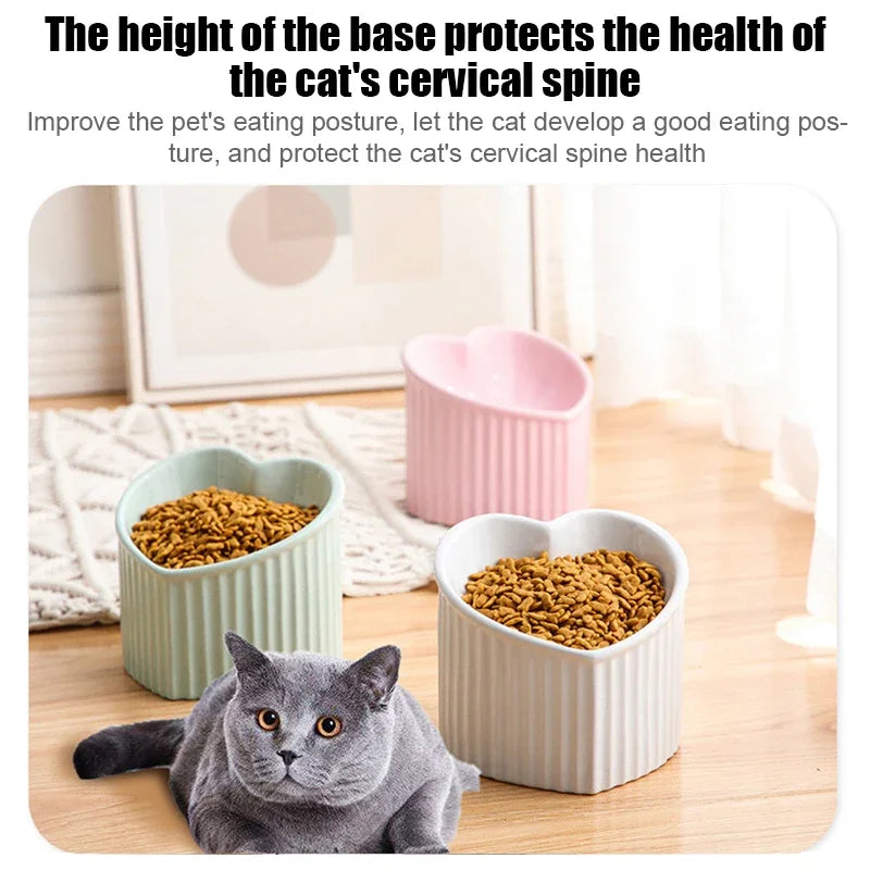 Cat Bowl - Ceramic Tilted Elevated Feeder