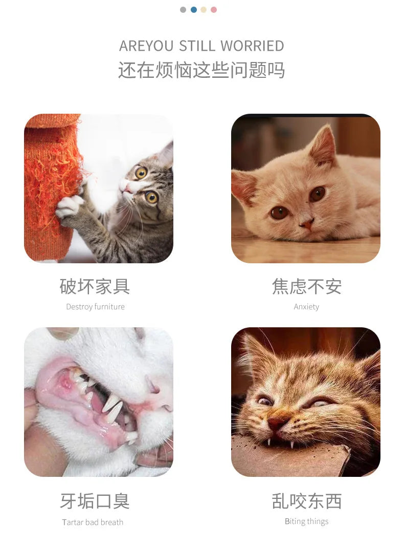 Cat Toy Mouse - Bite-Resistant Plush Interactive Toy