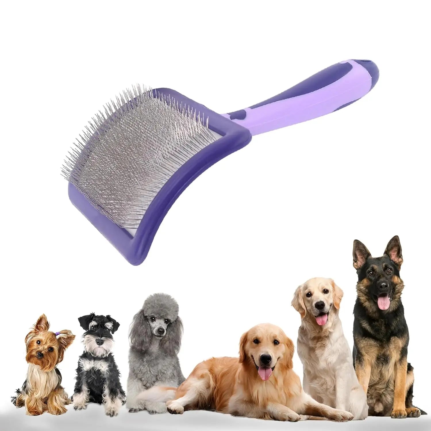 Pet grooming brush with purple handle and metal bristles, surrounded by six different dogs on a white background.