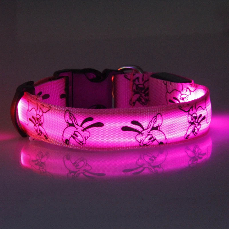 LED Dog Collar - USB Rechargeable Night Safety Light
