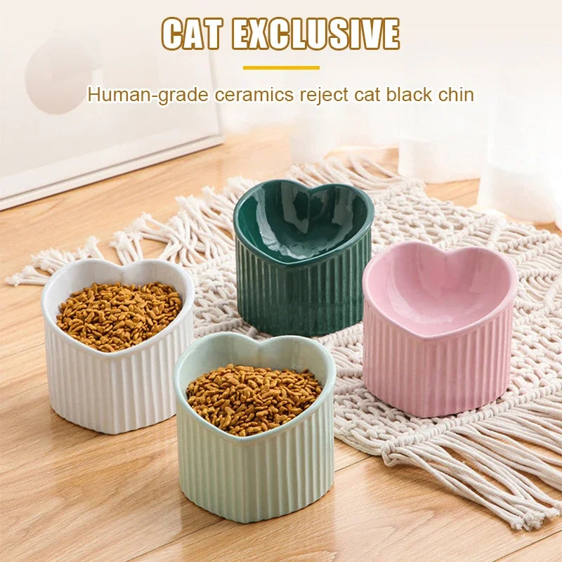 Cat Bowl - Ceramic Tilted Elevated Feeder