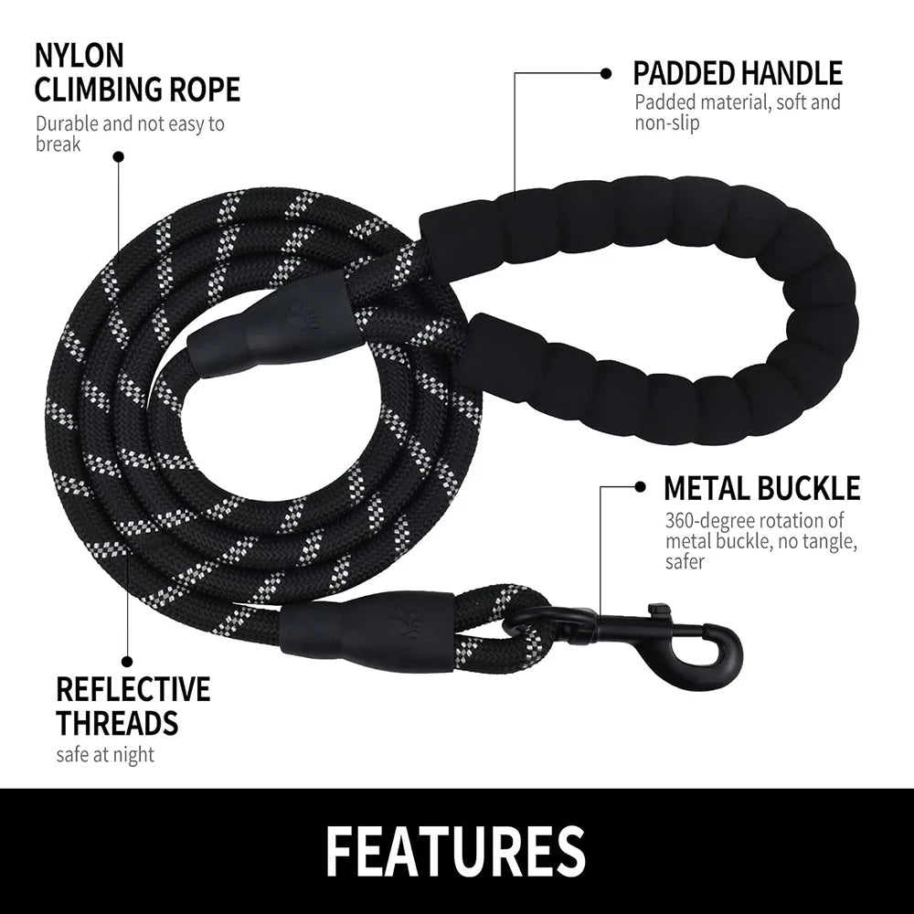Reflective Dog Leash 2M - Padded Handle for Night Walking