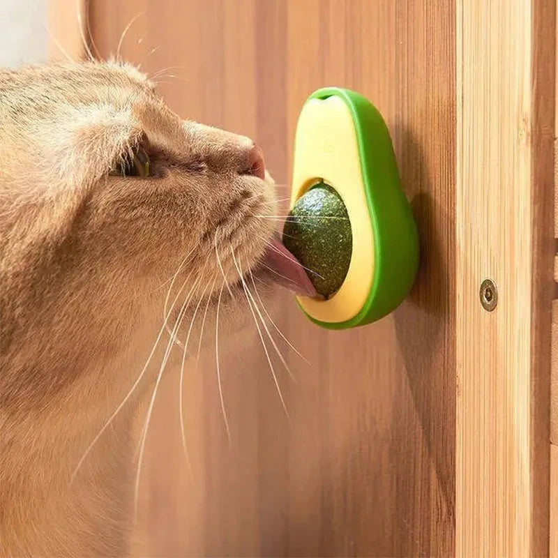 Natural Catnip Healthy Pet Cat Toy