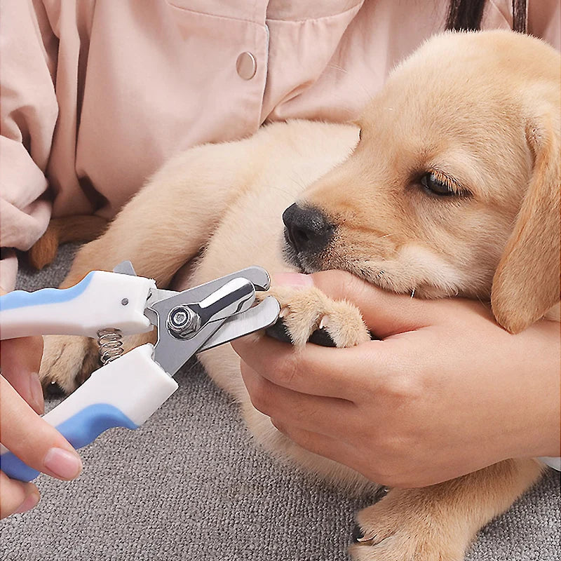 Person trimming a dog's nails with a pet nail clipper on a gray surface.