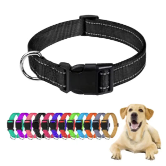 Reflective Dog Collar - Adjustable Safety Strap