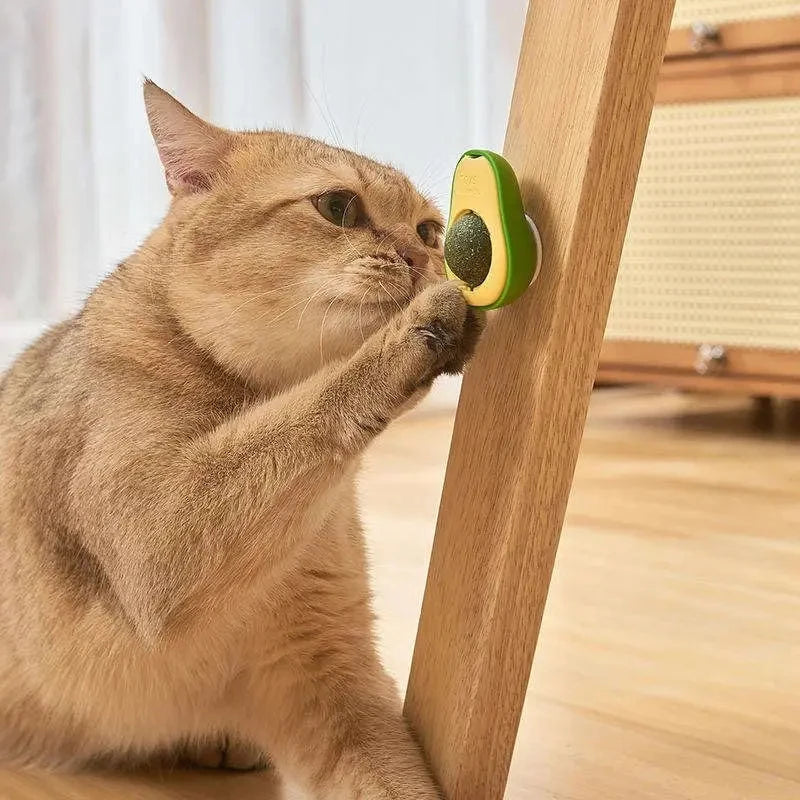 Natural Catnip Healthy Pet Cat Toy
