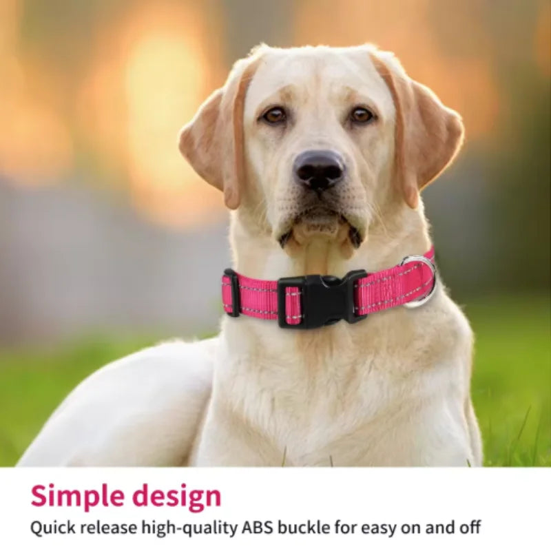Reflective Dog Collar - Adjustable Safety Strap