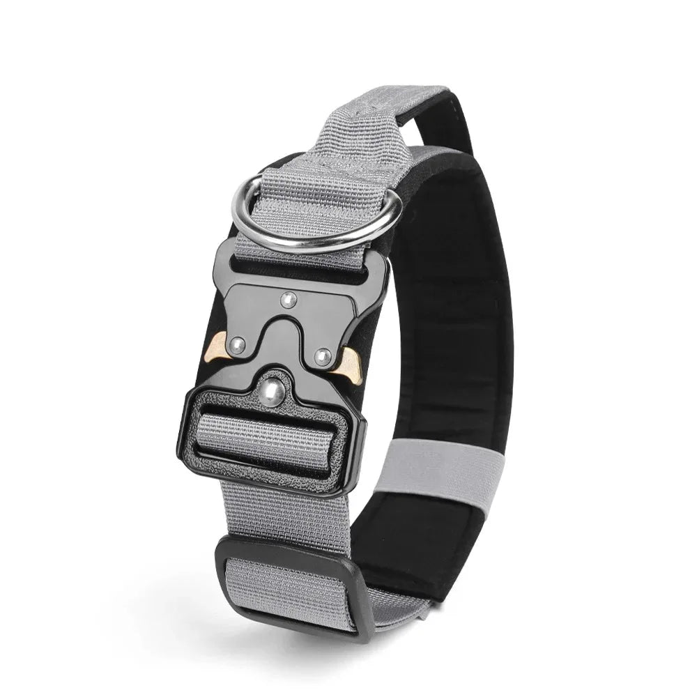 Dog Harness Set - Leash & Collar Accessories