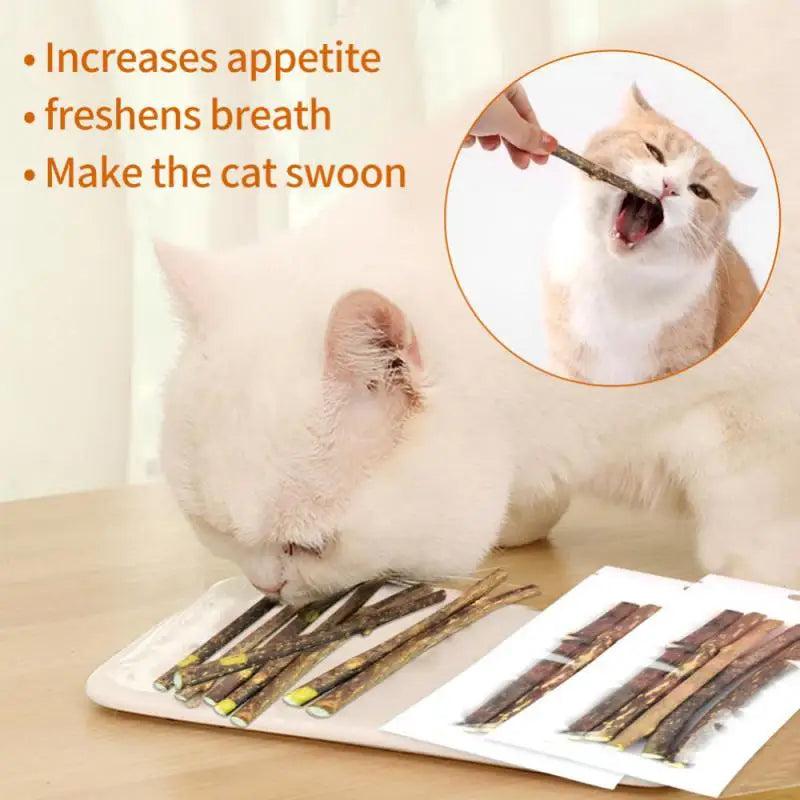 Cat Snack Sticks - Natural Catnip Toy 100pcs