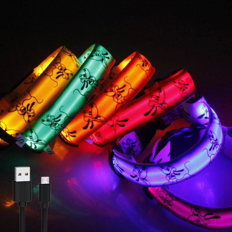 LED dog collar USB rechargeable night safety light
