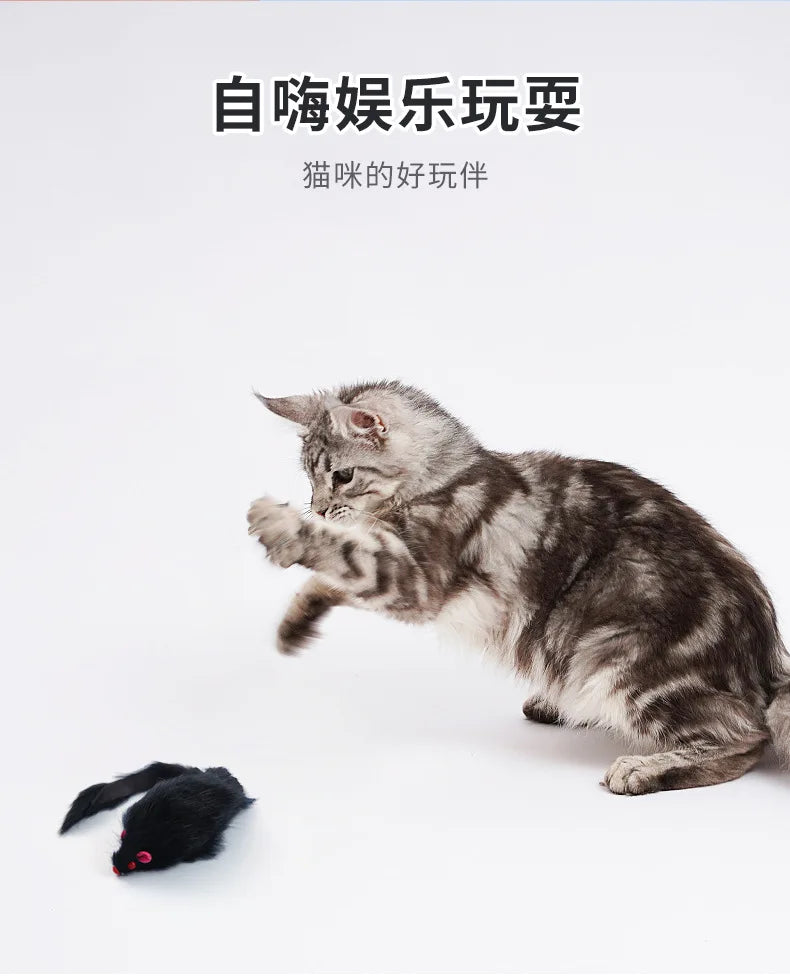 Cat Toy Mouse - Bite-Resistant Plush Interactive Toy