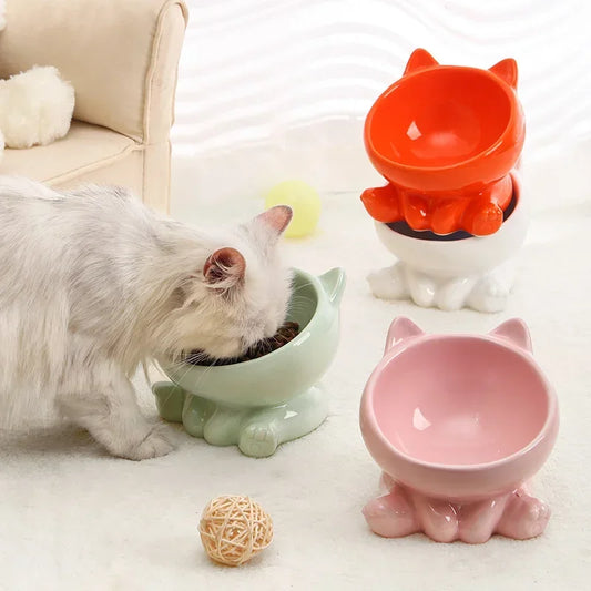 Ceramic Pet Bowl - Elevated Tilted Feeder
