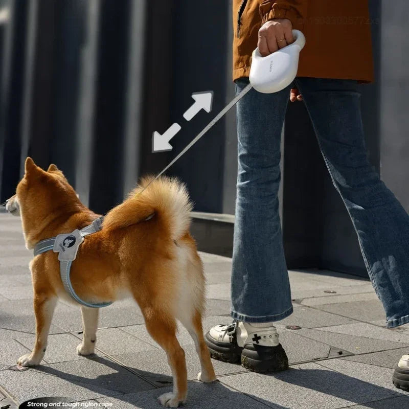 Retractable Dog Leash - 5M Automatic Extending Lead with Reflective Belt