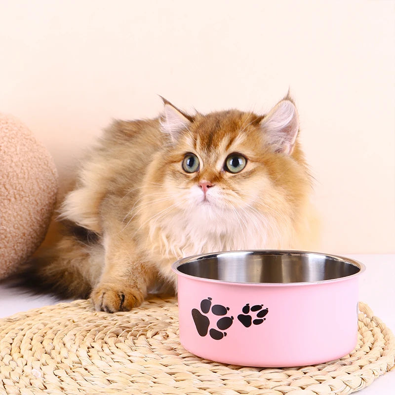 Stainless Steel Pet Bowl with Cartoon Pattern