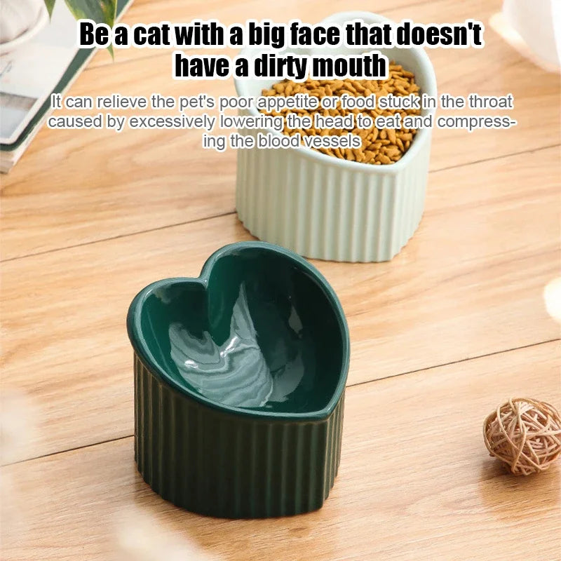 Cat Bowl - Ceramic Tilted Elevated Feeder