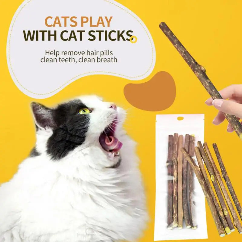 Cat Snack Sticks - Natural Catnip Toy 100pcs