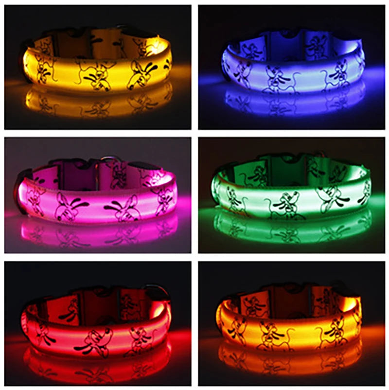 LED Dog Collar - USB Rechargeable Night Safety Light