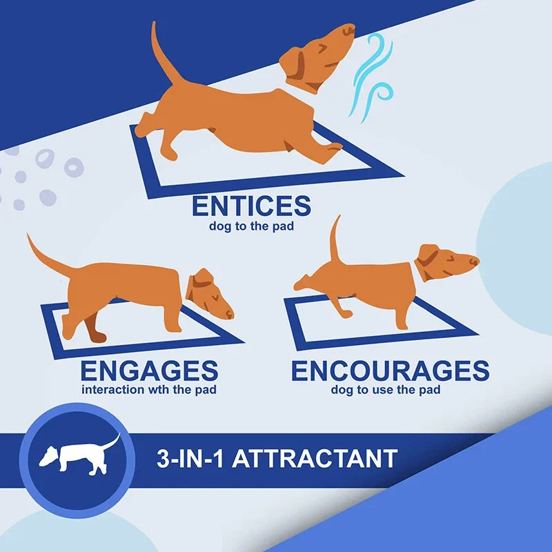 Dog Training Pee Pads - Disposable 20-100pcs
