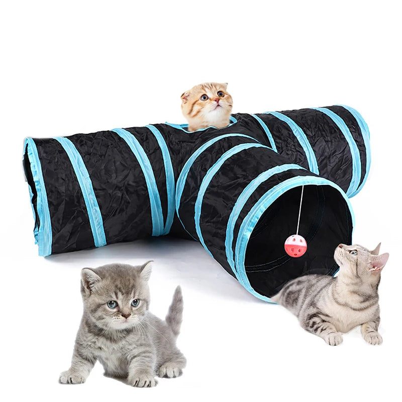 Grey tabby cat playing inside black foldable cat tunnel with blue trim