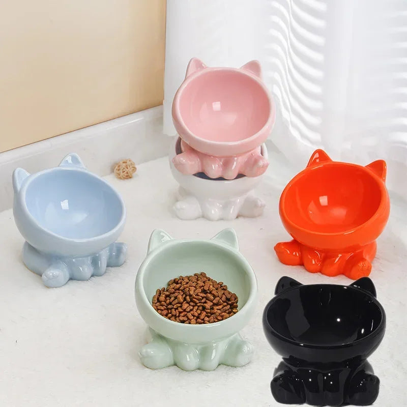 Ceramic Pet Bowl - Elevated Tilted Feeder