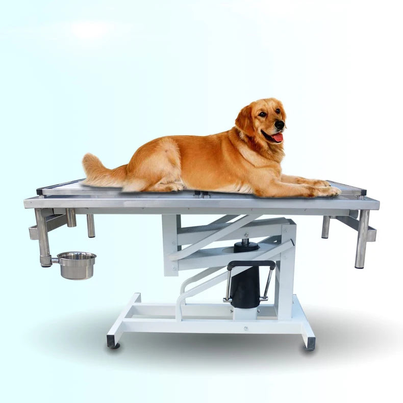 Professional Dog Grooming Salon Wall Hanging Pet Hair Dryer