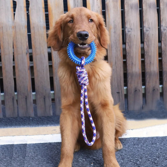 Chew resistant nylon rope dog toys colorful woven knot for teeth cleaning
