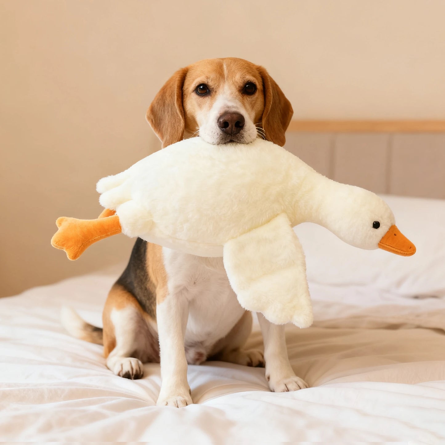 Dog holding a plush duck toy on a bed
