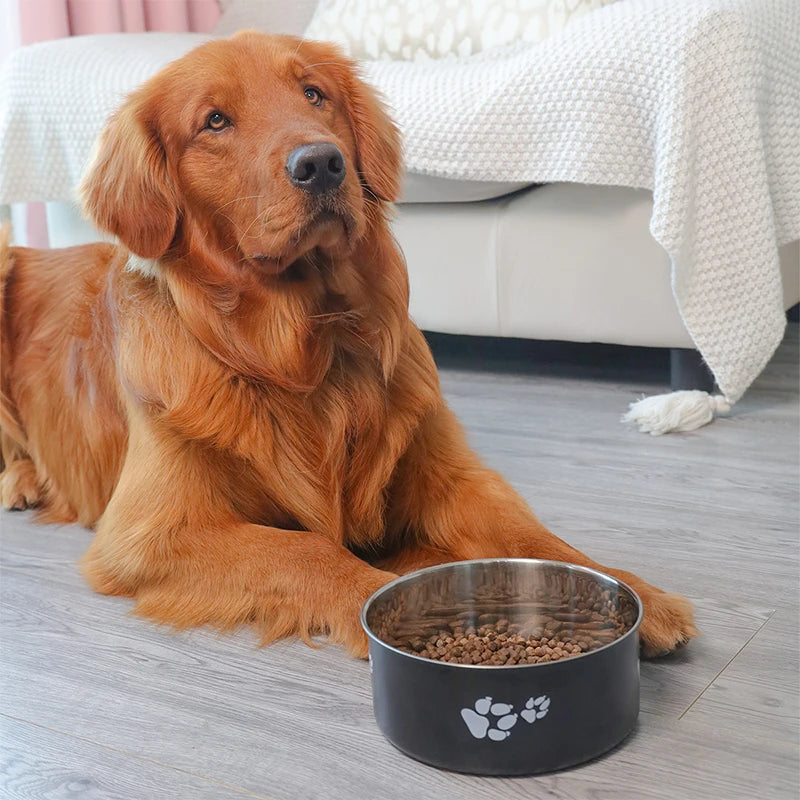 Stainless Steel Pet Bowl with Cartoon Pattern