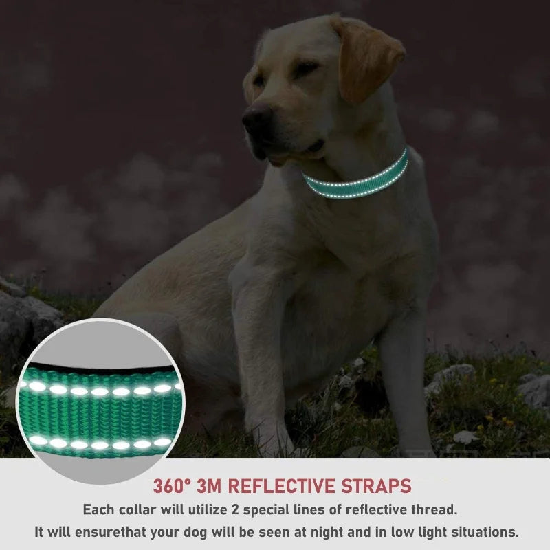 Reflective Dog Collar - Adjustable Safety Strap