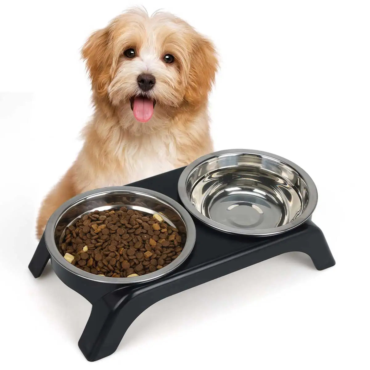 Elevated pet bowl with two stainless steel bowls for small and medium dogs and cats