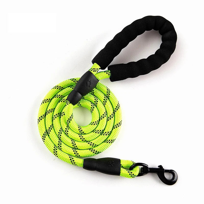 Reflective Dog Leash 2M - Padded Handle for Night Walking