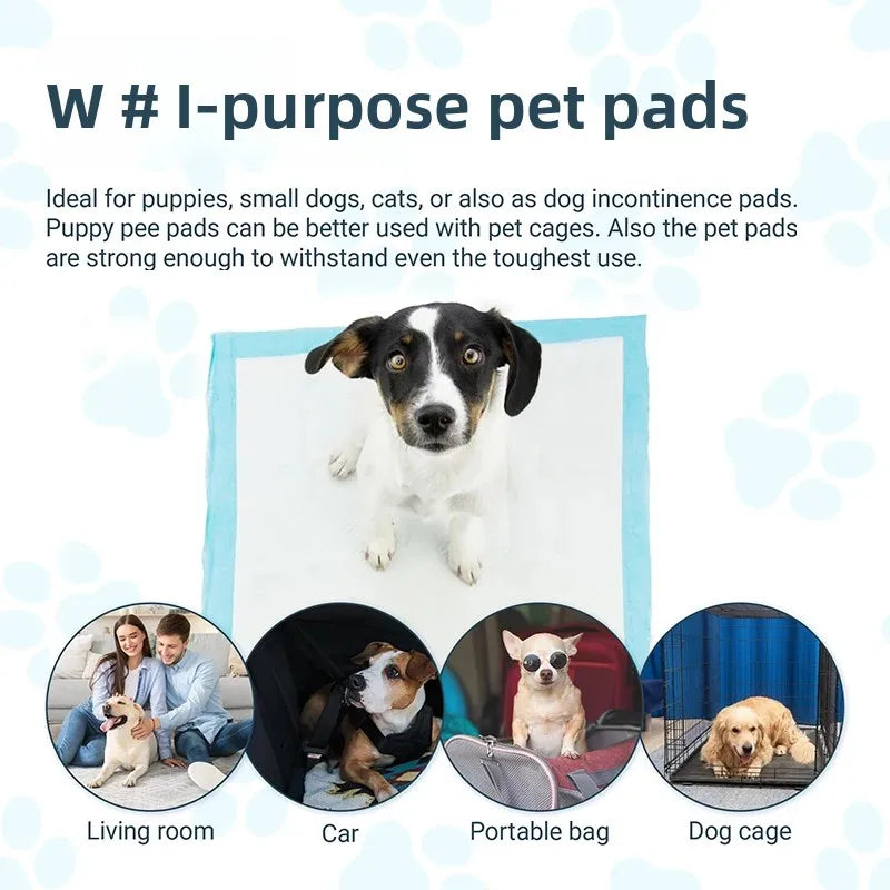 Dog Training Pee Pads - Disposable 20-100pcs