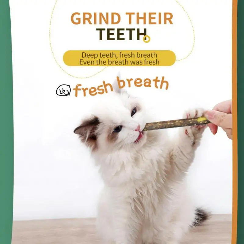 Cat Snack Sticks - Natural Catnip Toy 100pcs