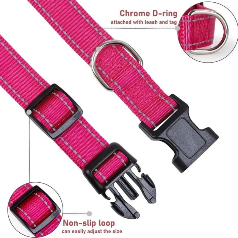 Reflective Dog Collar - Adjustable Safety Strap