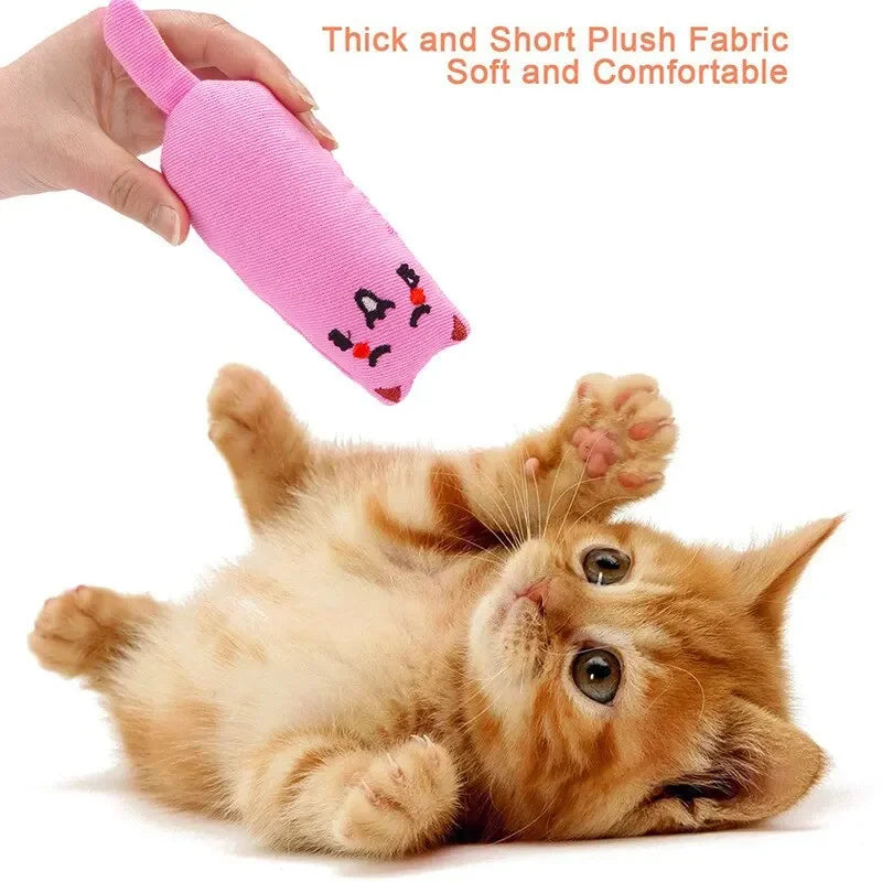Catnip Toy - Plush Pillow Chew Toy