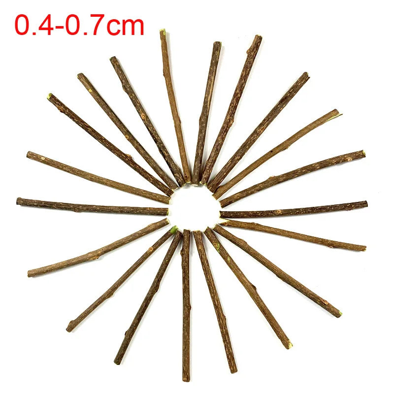 Cat Snack Sticks - Natural Catnip Toy 100pcs