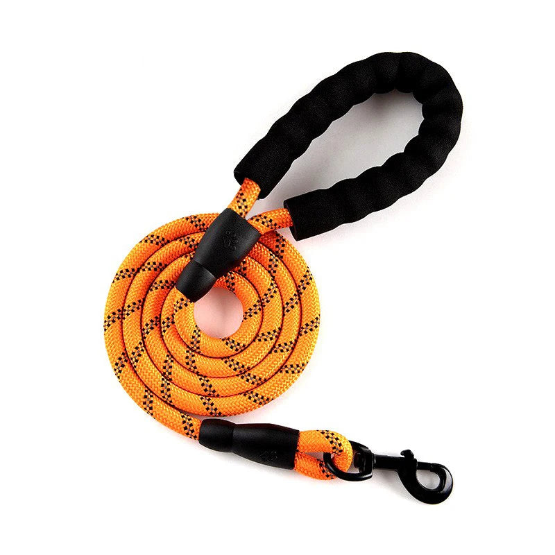 Reflective Dog Leash 2M - Padded Handle for Night Walking