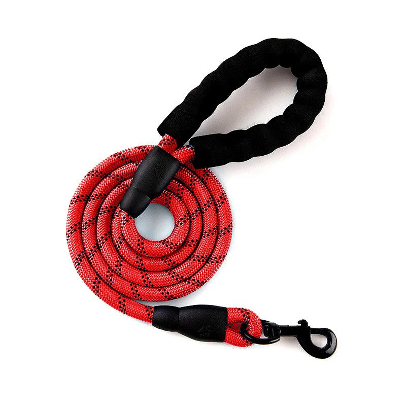 Reflective Dog Leash 2M - Padded Handle for Night Walking