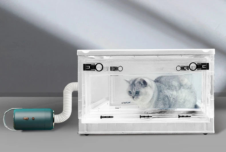 Portable Pet Hair Dryer for Dogs Grooming, Home, Professional, Small Dog, Cat, Pet Grooming Accessories, Pet Supplies