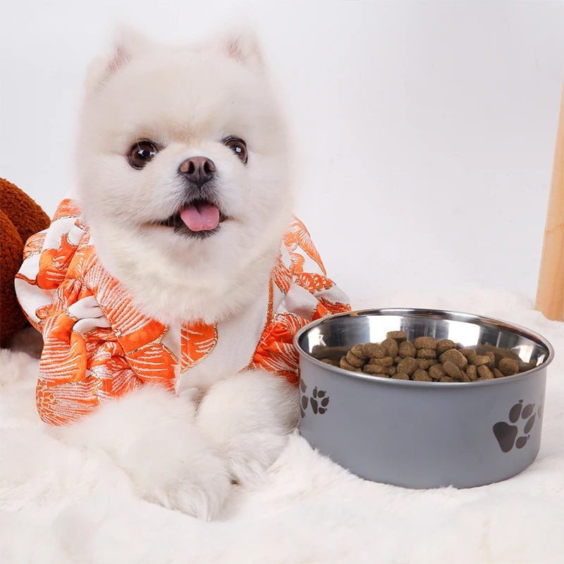 Stainless Steel Pet Bowl with Cartoon Pattern